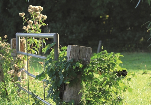 Update route-app van AbelLife.