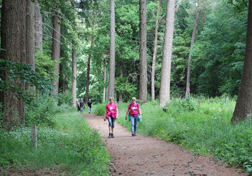 Impressie Dag 4 - AW4D 2022