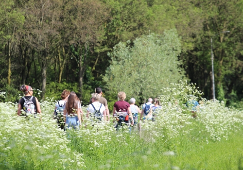 Impressie Achterhoekse Wandeldagen - dag 3