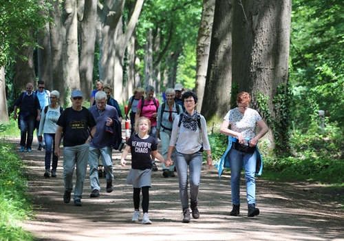 Achterhoekse Wandelvierdaagse telt ruim 600 wandelaars meer dan vorig jaar